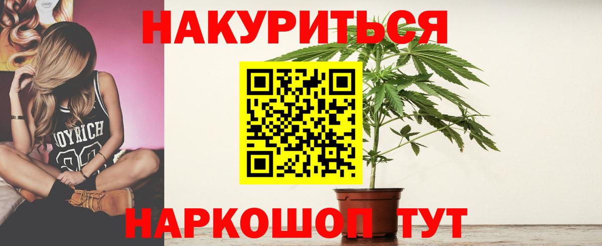 Бошки Шишки SATIVA & INDICA  Бошки Шишки план  Конопля ГИДРОПОН  Королёв  Вход с VPN 